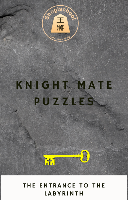 50 Knight Mate Puzzles 5$